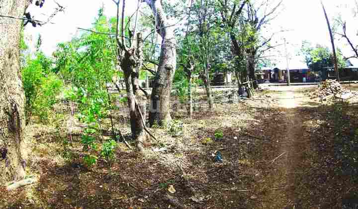 3000sqm Pristine Flat Land Gili Meno Gp0109 3