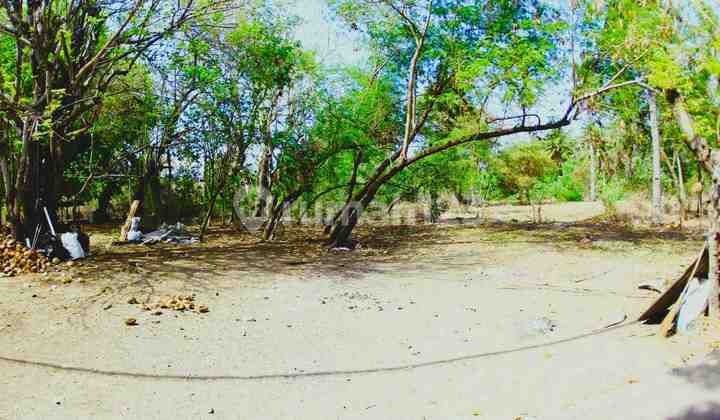 3000sqm Pristine Flat Land Gili Meno Gp0109 6