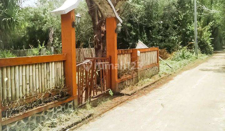 5 homestay Close To The Harbour Gp0111 8