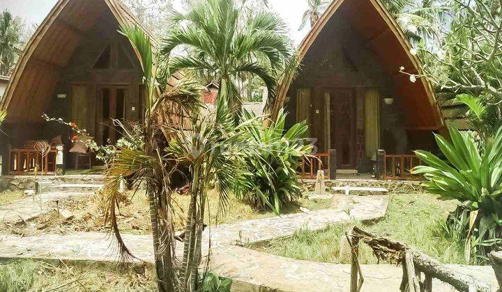 5 homestay Close To The Harbour Gp0111 13