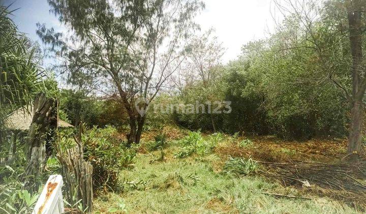 1500 Sqm Land 1min From Harbour Gp0112 1