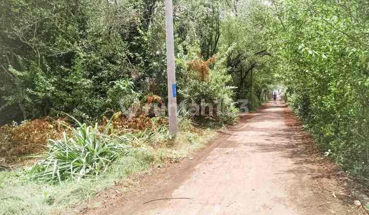 1500 Sqm Land 1min From Harbour Gp0112 3