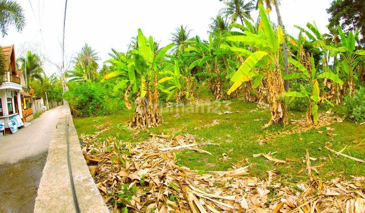 Primely Located Plot Of Land Gili Air Gp0115 3