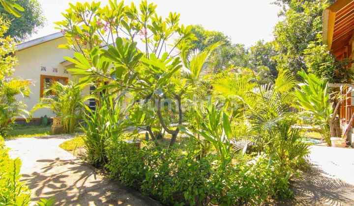 6 bedrooms Bungalow Gili Air Gp0118 9