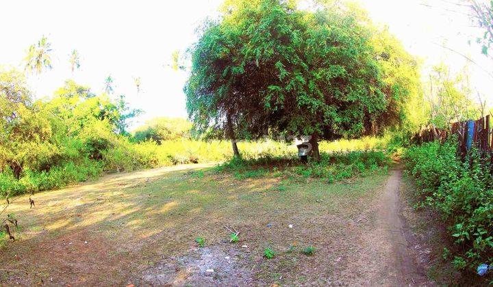 966 Sqm Land Quiet And Peacful Gp0119 1