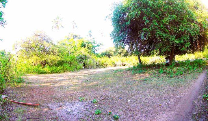 966 Sqm Land Quiet And Peacful Gp0119 2
