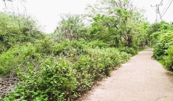 This Is Primely And Beautiful 8090 Sqm Land Gp0120 1