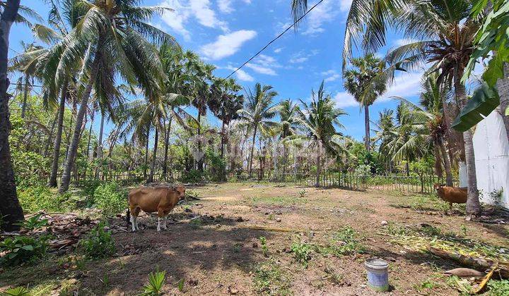600 Sqm Freehold Land On Gili Air Gp0114 5