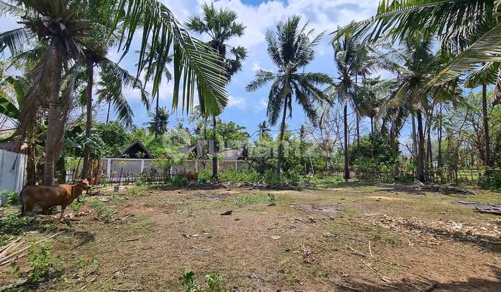 600 Sqm Freehold Land On Gili Air Gp0114 9