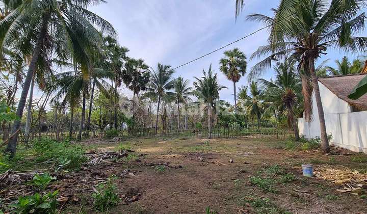 600 Sqm Freehold Land On Gili Air Gp0114 10