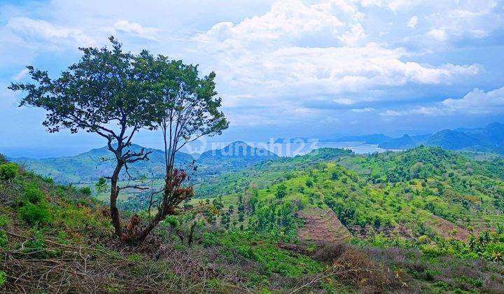 1000 Sqm Land Selong Belanak Lombok Gp0121 1