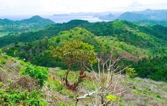 1000 Sqm Land Selong Belanak Lombok Gp0121 2