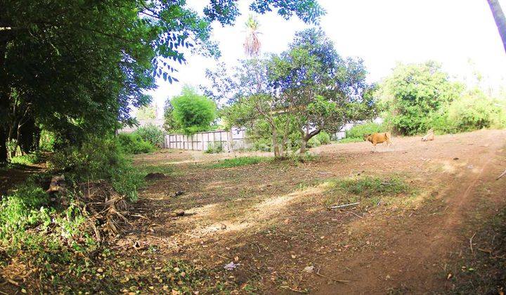 1500 Sqm Flat Land North West Gili Air Gp0123 5