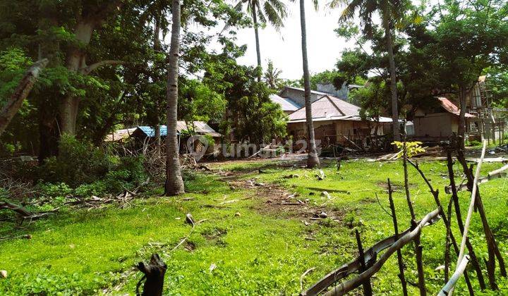 900 Sqm Land Gili Trawangan Gp0126 4
