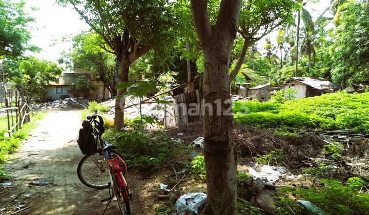 900 Sqm Land Gili Trawangan Gp0126 9