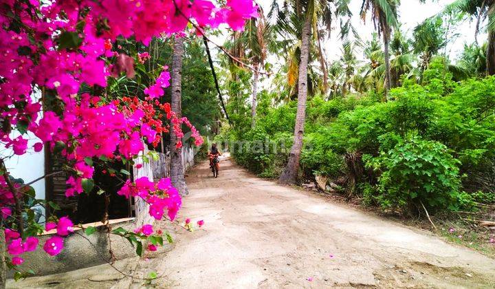 950 Sqm Land In The Hearth Of Gili Meno Gp0128 4