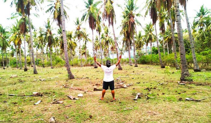 950 Sqm Land In The Hearth Of Gili Meno Gp0128 7
