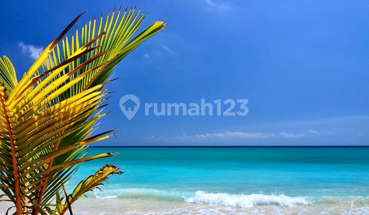 2 hectare Beachfront Land Gp0132 3
