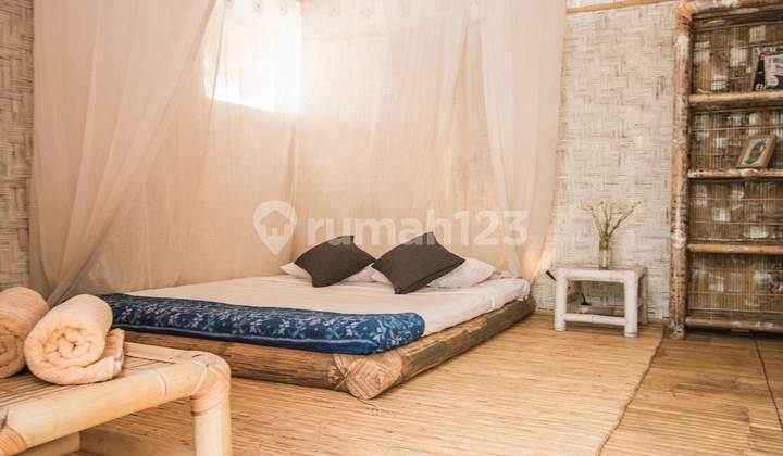 A Boutique Hotel Yoga Retreat Gp0133 6