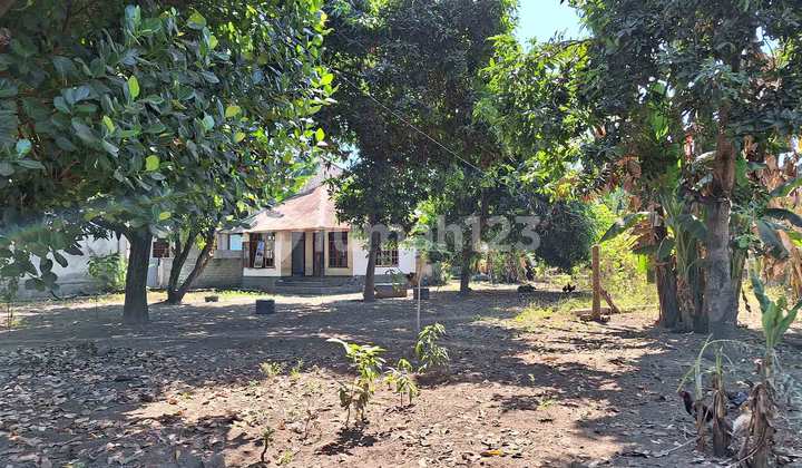 Land 250 M From The Harbor, With Two Houses For Sale Gp0155 1
