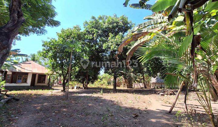 Land 250 M From The Harbor, With Two Houses For Sale Gp0155 2