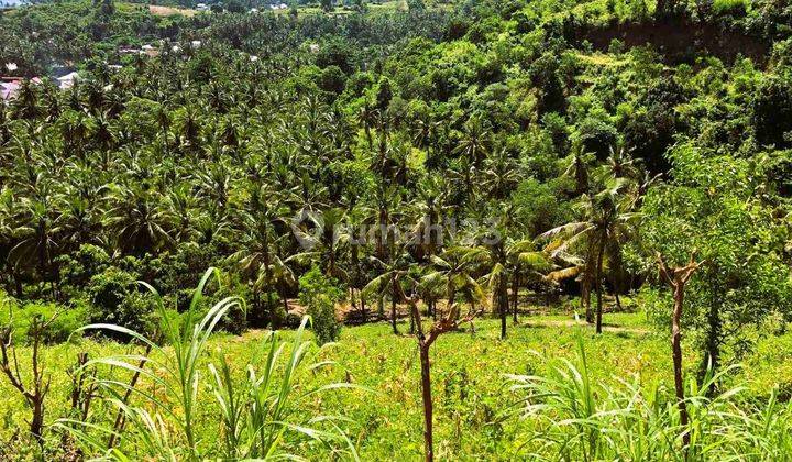 Exclusive Land For Sale North Lombok Gp0181 1