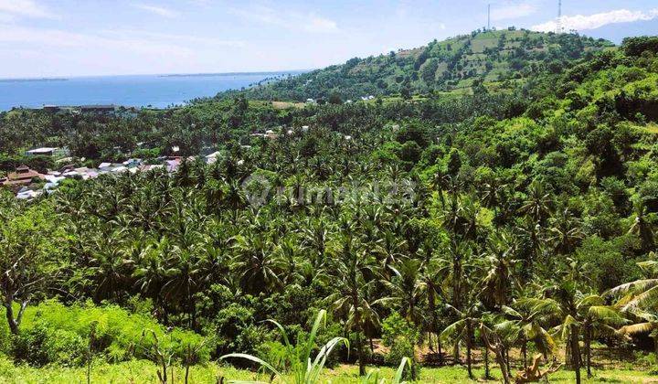 Exclusive Land For Sale North Lombok Gp0181 2