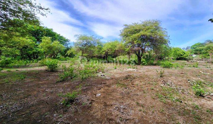 10 Are Land For Sale In Gili Air Gp0201 1