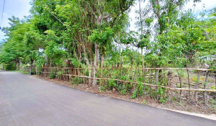 10 Are Land For Sale In Gili Air Gp0201 2