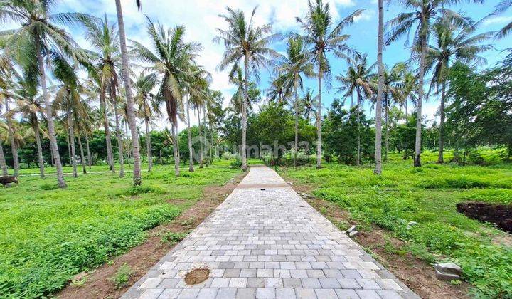 Prime Land Plots In Trawangan Gp0206 2