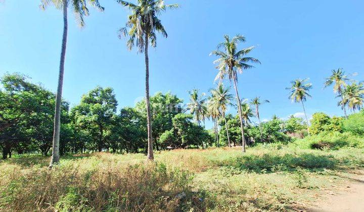 Prime Land for Sale in East Gili Air GP0217 2