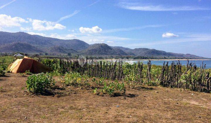 Prime Beachfront Land For Sale In Sumbawa Gp0309 1