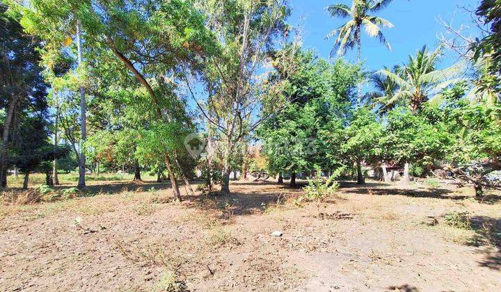 Prime Land for Sale in East Gili Air GP0217 1