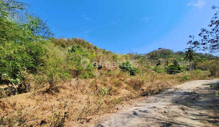 Land For Sale In Selong Belanak Gp0229 1