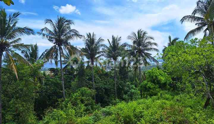 13,650 sqm SHM Land – North Lombok GP0321