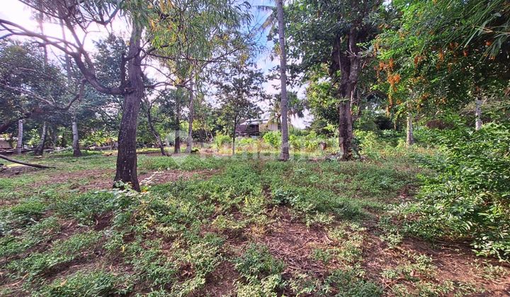 PRIME LAND FOR LEASE IN GILI AIR GP0324