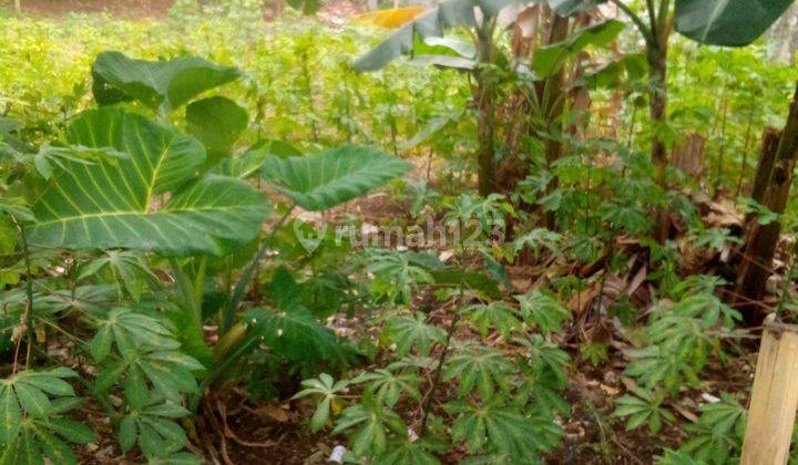 Tanah, Siap Pakai, Utk di Bangun Rumah Tinggal, Kontrakan,kos2 An, di Setiamekar, Tambun Selatan, Bekasi 5