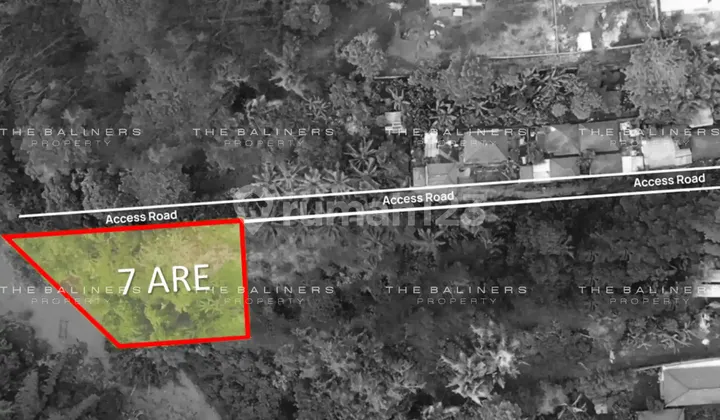 Spacious Residential Land With Jungle And River Views In Buwit, Tabanan