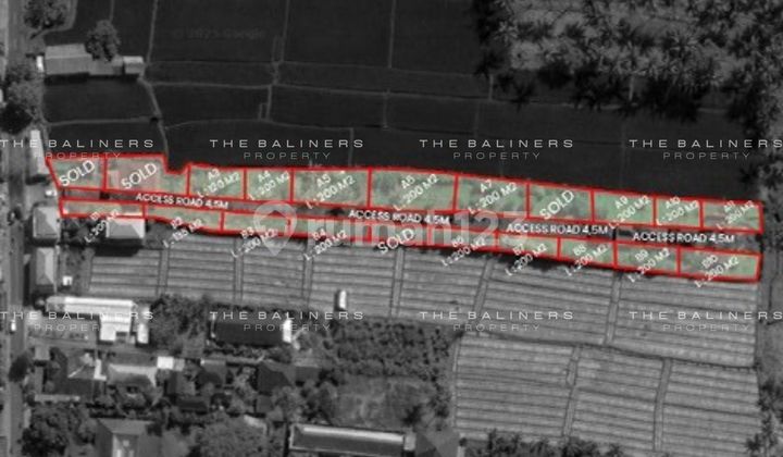 STRATEGIC RESIDENTIAL LAND WITH RICEFIELDS VIEW IN UBUD'S MOST CONNECTED AREA