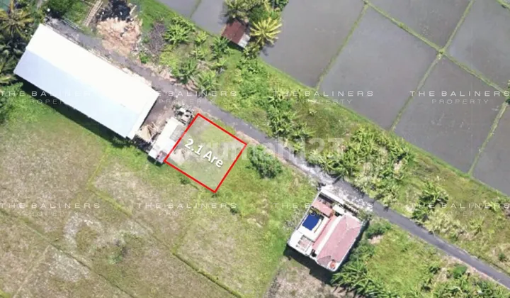 WELL-LOCATED KEDUNGU LAND WITH SCENIC SECOND-FLOOR VIEWS WELL-LOCATED KEDUNGU LAND WITH SCENIC SECOND-FLOOR VIEWS