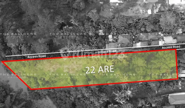 PEACEFUL RIVER AND JUNGLE VIEW LAND IN BUWIT, TABANAN