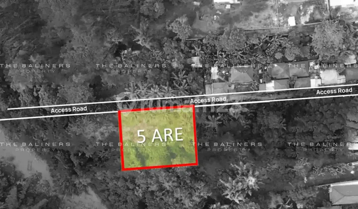 Leasehold Residential Land With Jungle And River Views In Buwit, Tabanan