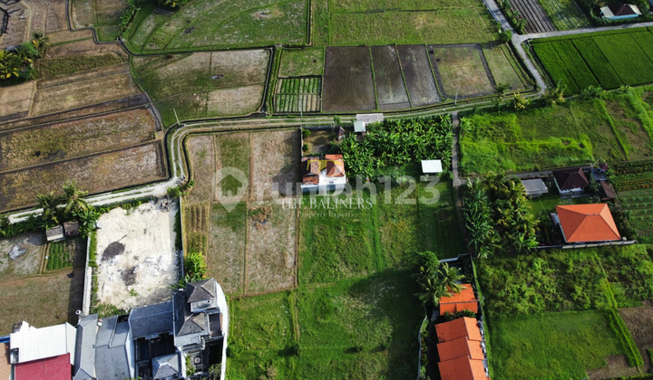 PLOTS FOR SALE WITH RICE FIELD VIEWS IN NYANYI 4