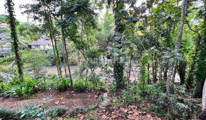 Urgent Sale Stunning Freehold Riverfront Land In Up And Coming Nyanyi 6
