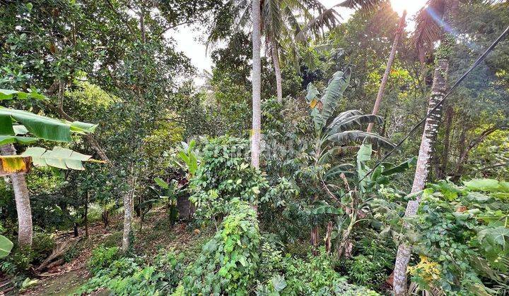 Urgent Sale Stunning Freehold Riverfront Land In Up And Coming Nyanyi 8