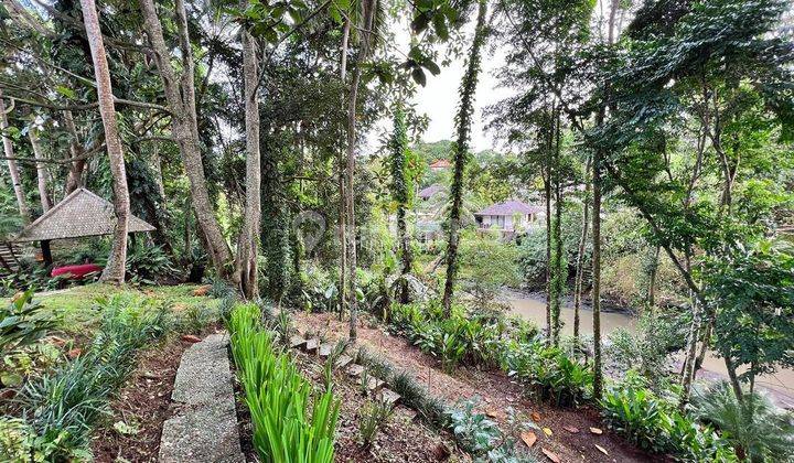 Urgent Sale Stunning Freehold Riverfront Land In Up And Coming Nyanyi 7