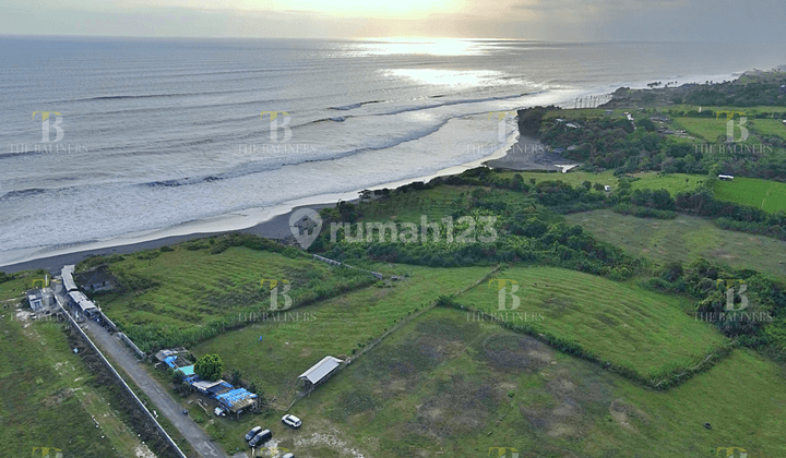 Commercial Plots Steps Away From The Beach 3