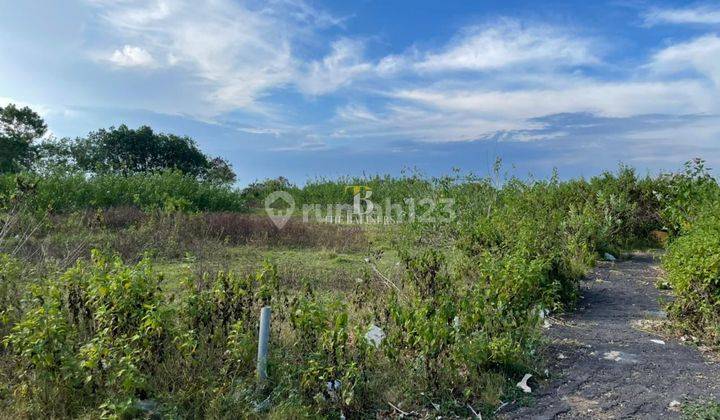 Commercial Plots Steps Away From The Beach 4