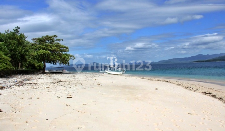 Private Island For Investment Where Dreams Become True 7