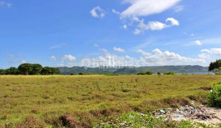 Private Island For Investment Where Dreams Become True 11